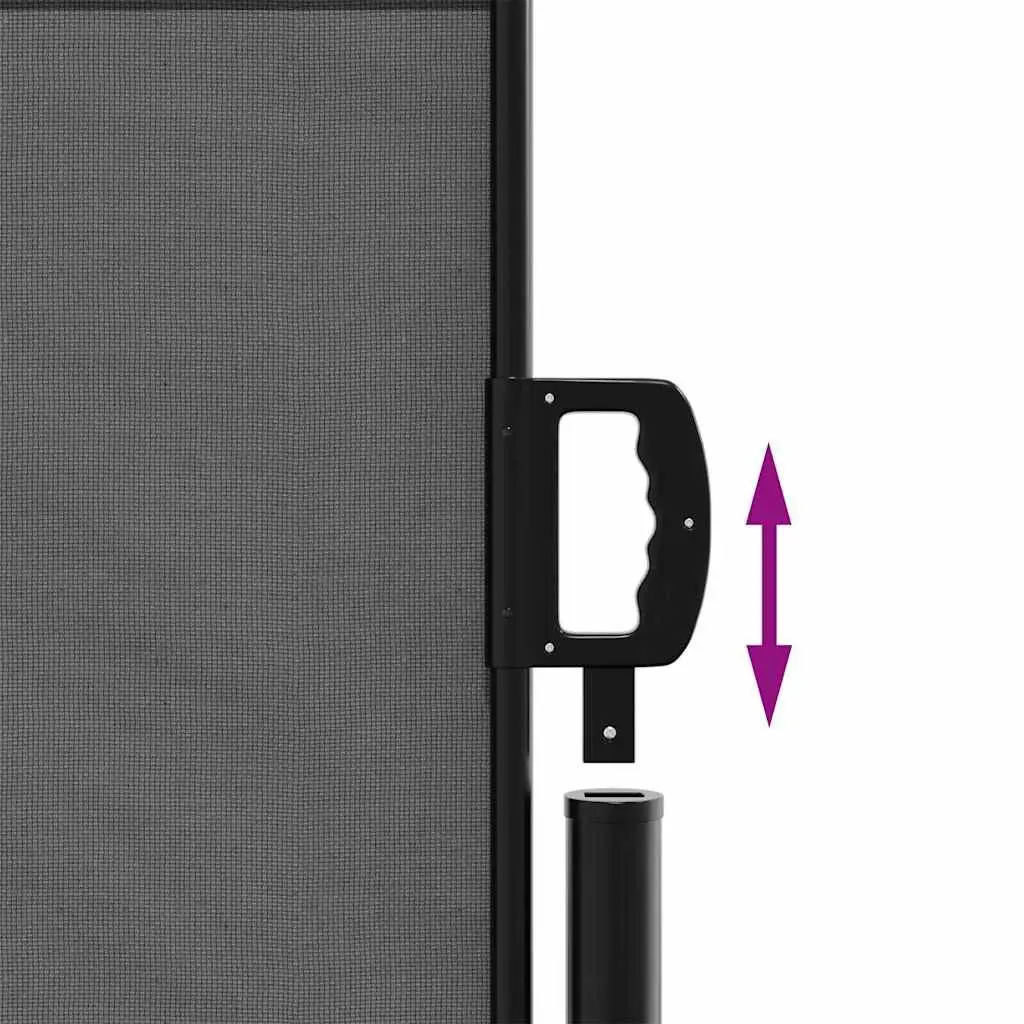 Retractable Side Awning Anthracite 120x600cm