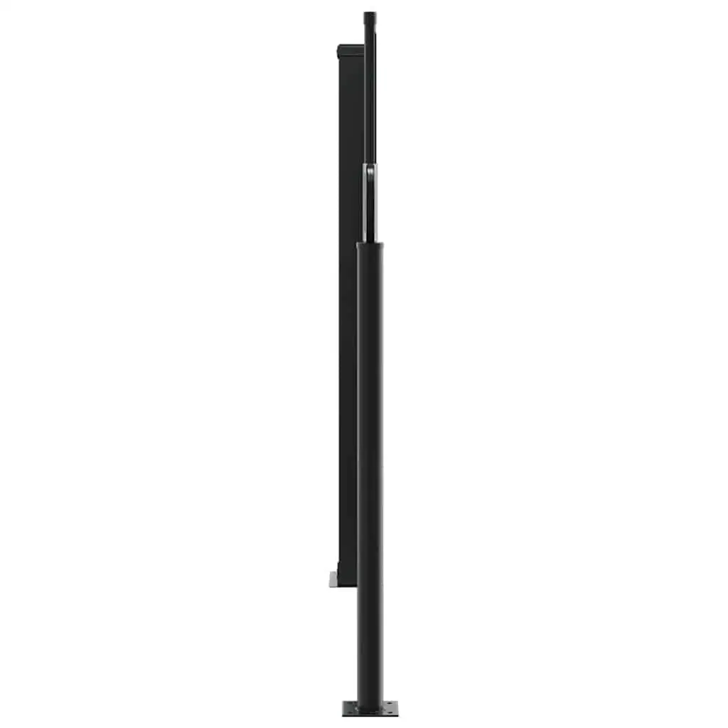 Retractable Side Awning Black 100x1000cm