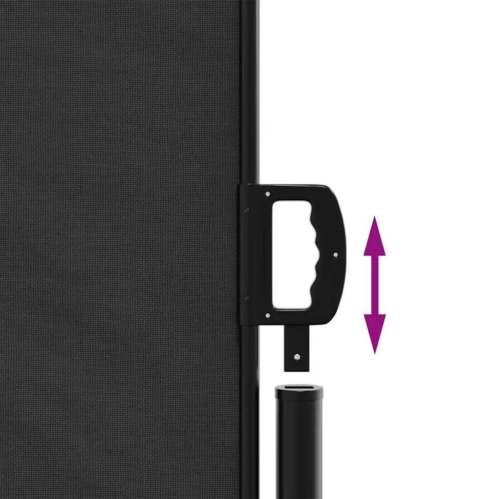Retractable Side Awning Black 100x1000cm