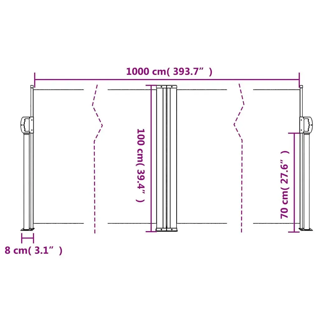 Retractable Side Awning Black 100x1000cm