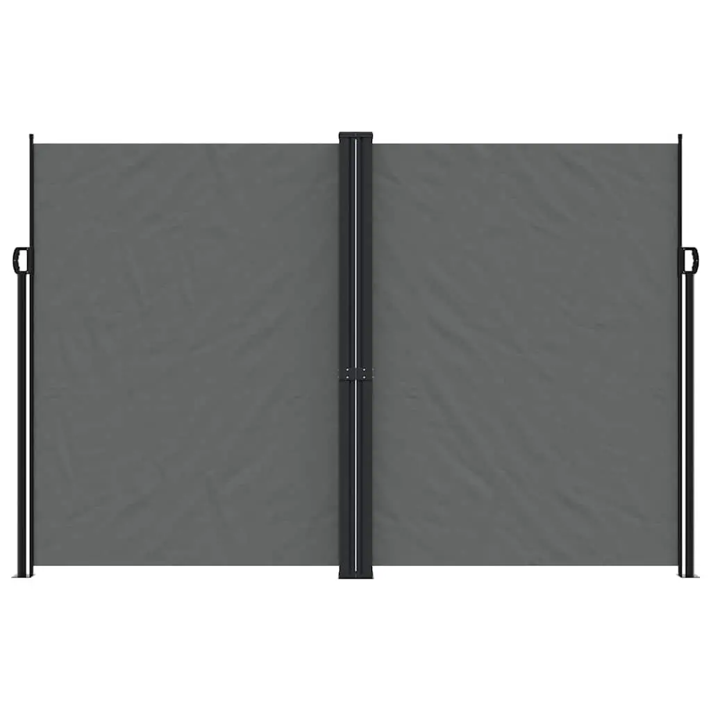 Retractable Side Awning Anthracite 220x1000cm