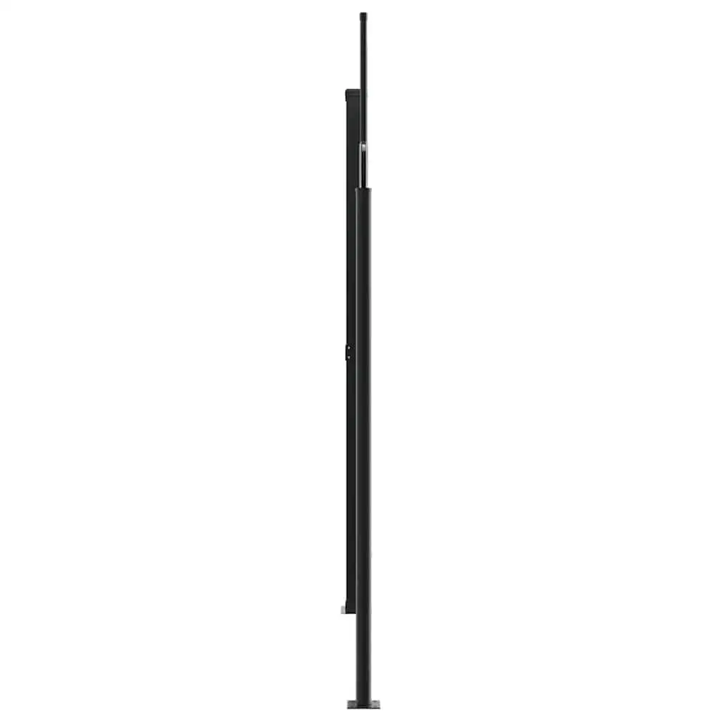 Retractable Side Awning Anthracite 220x1000cm