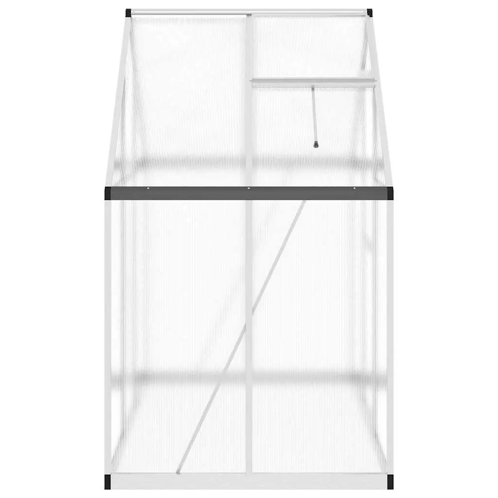 Silver Greenhouse with Base Frame 169x114x195 cm