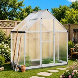 Silver Greenhouse with Base Frame 169x114x202 cm