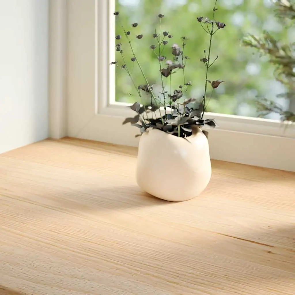 Window Sills Untreated Solid Oak Wood Brown 120x30x2 cm Display Ledge Set of 2