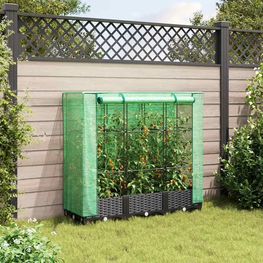 Raised Garden Bed with Greenhouse Cover