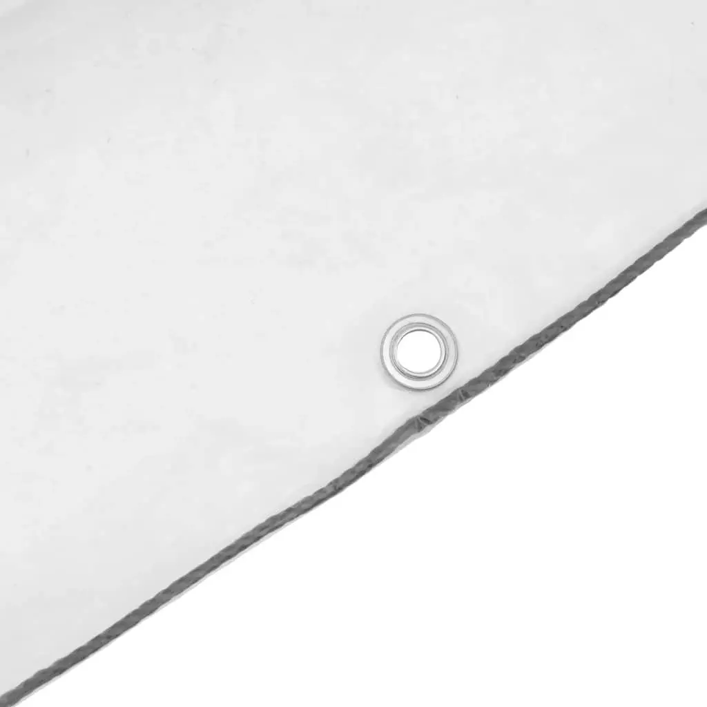Clear Tarpaulin with Eyelets 3x5 m Waterproof