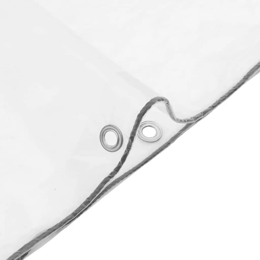 Clear Tarpaulin with Eyelets 3x5 m Waterproof