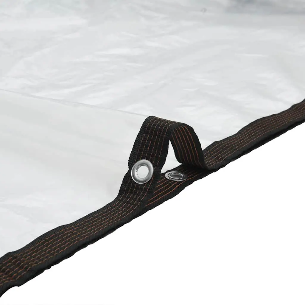 Clear Tarpaulin with Eyelets 2x3 m