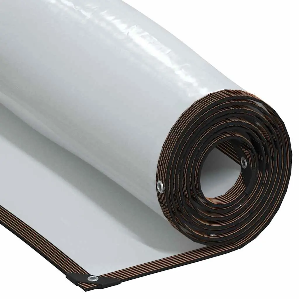 Clear Tarpaulin 3x3 m with Eyelets for Outdoors