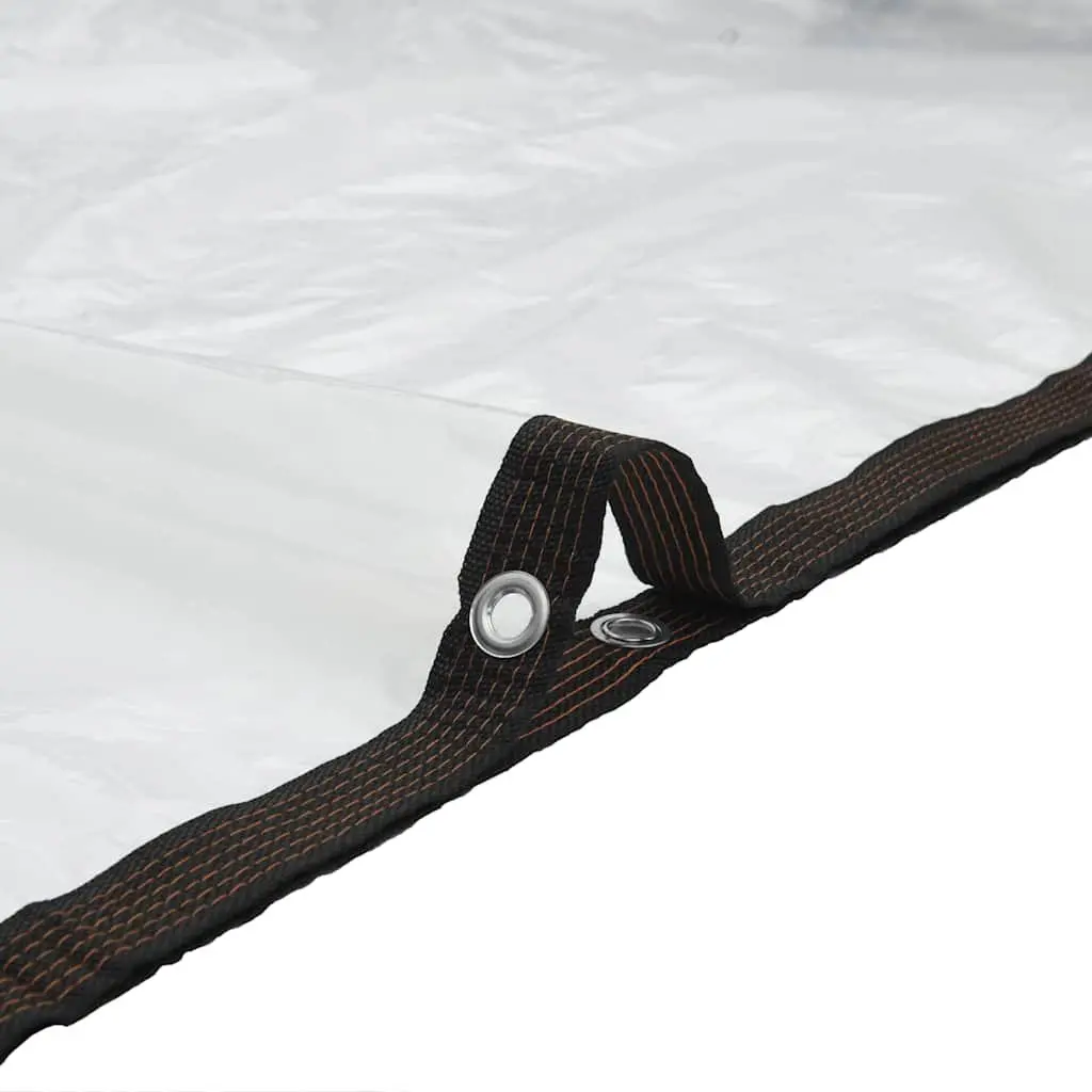Clear Tarpaulin Sheet Polyethylene 3x8m Transparent