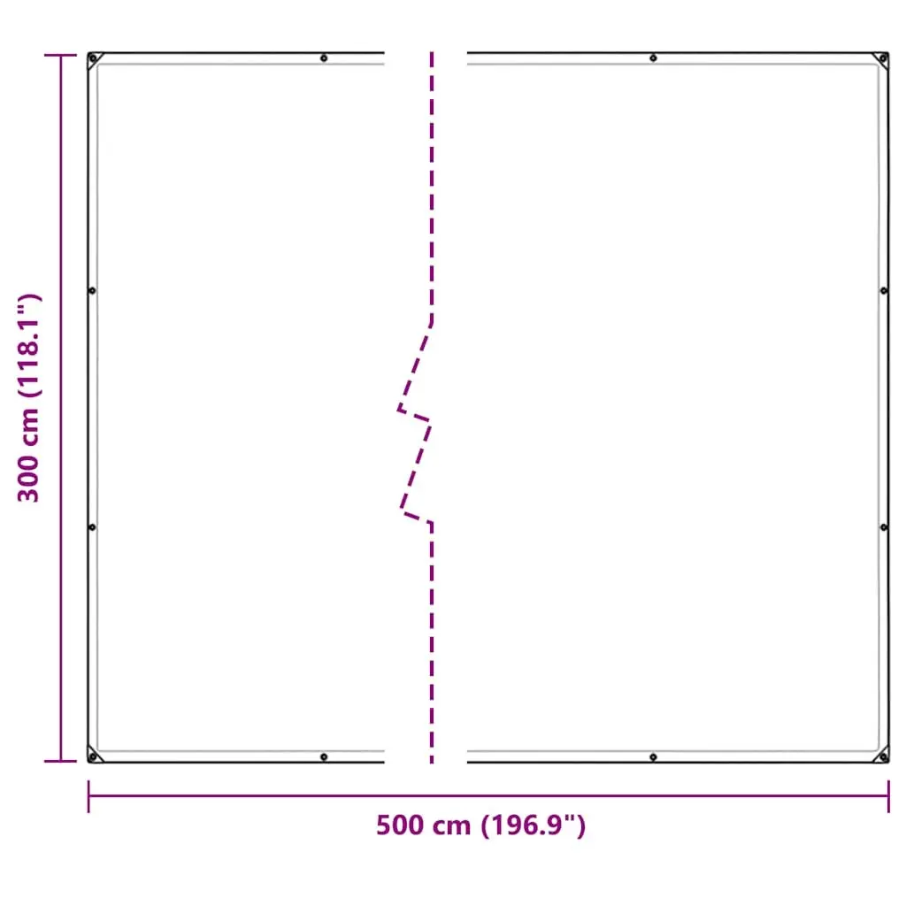 Clear Tarpaulin PVC Sheet 3x5m Transparent with Eyelets