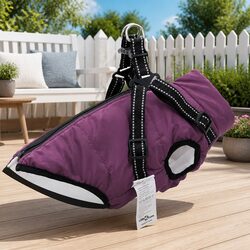 XL Purple Dog Coat with Harness – Waterproof & Reflective