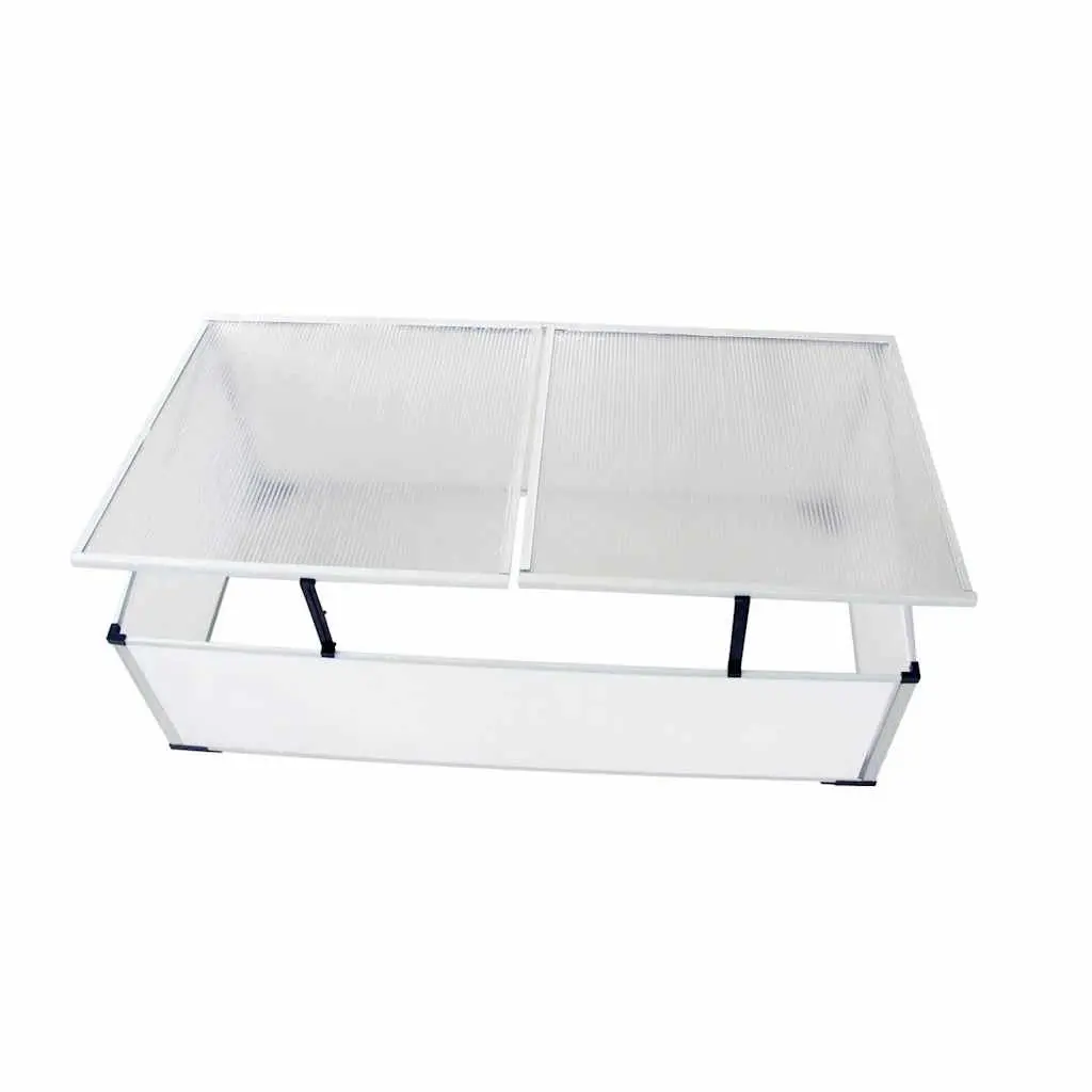 Mini Garden Cold Frame Greenhouse with 2 Lids