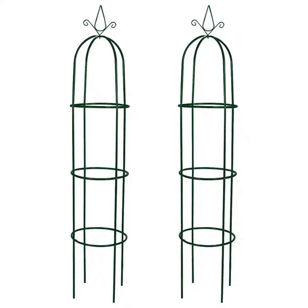 Garden Arch Tower Set for Climbing Plants