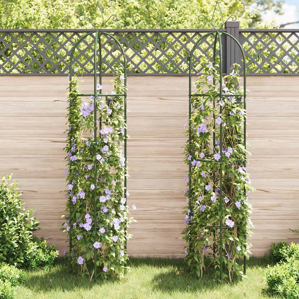 Garden Arch Tower Set for Climbing Plants