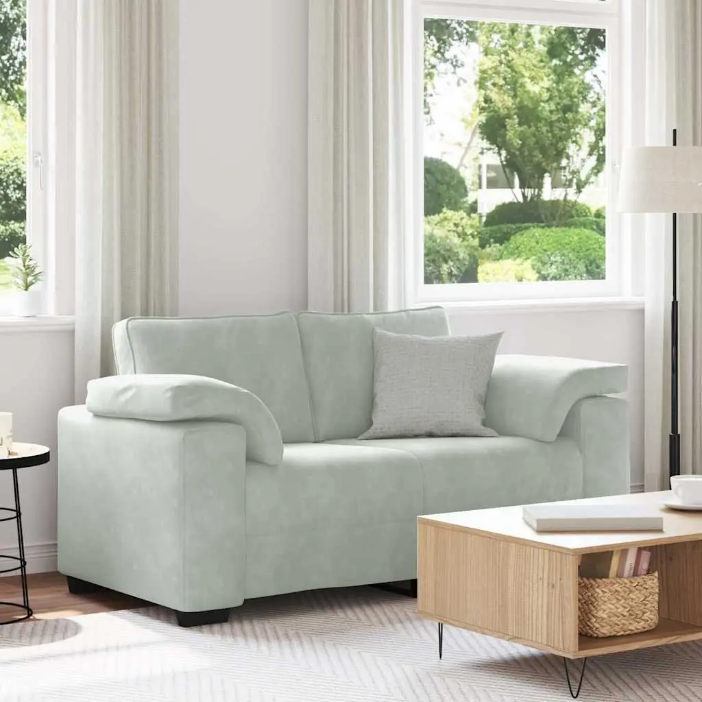 Grey Velvet Loveseat Sofa for Relaxation
