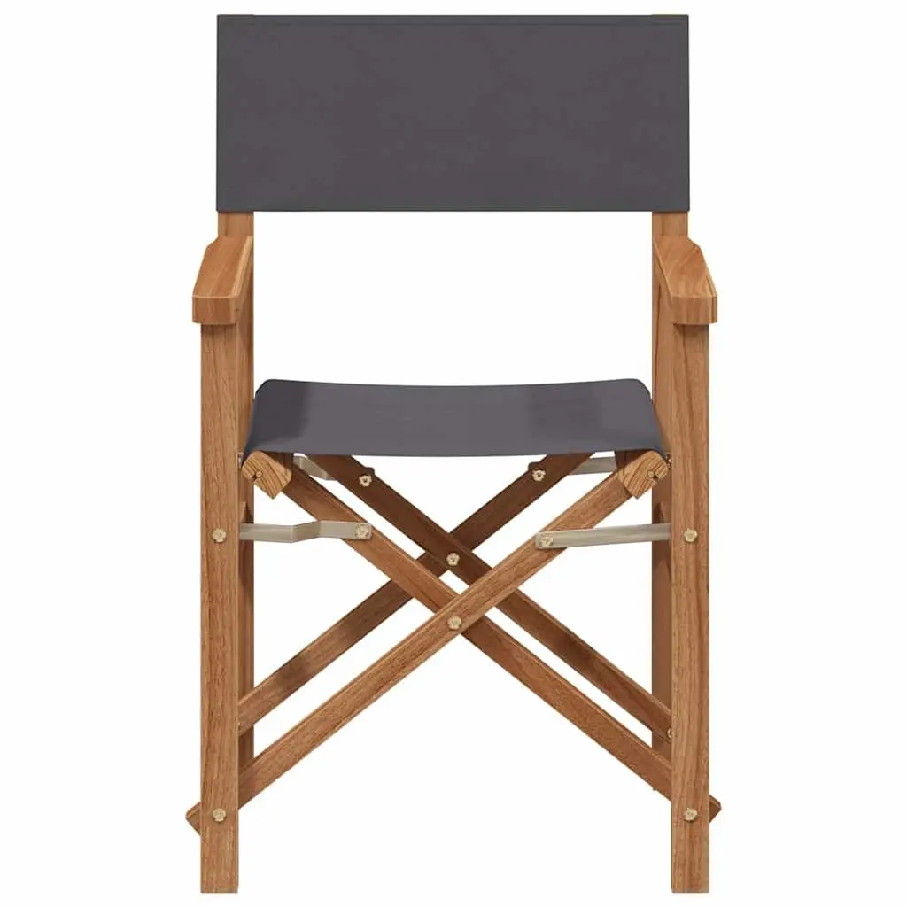 Grey Outdoor Folding Director Chair with Teak Frame