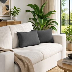 Durable Dark Grey Sofa Pillows 2 pcs 50 x 30 cm