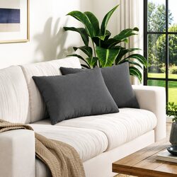 Modern Grey Sofa Pillows Set of 2, 60 x 40 cm