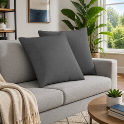 Modern Dark Grey Sofa Pillows 2 Pieces 60 x 60 cm