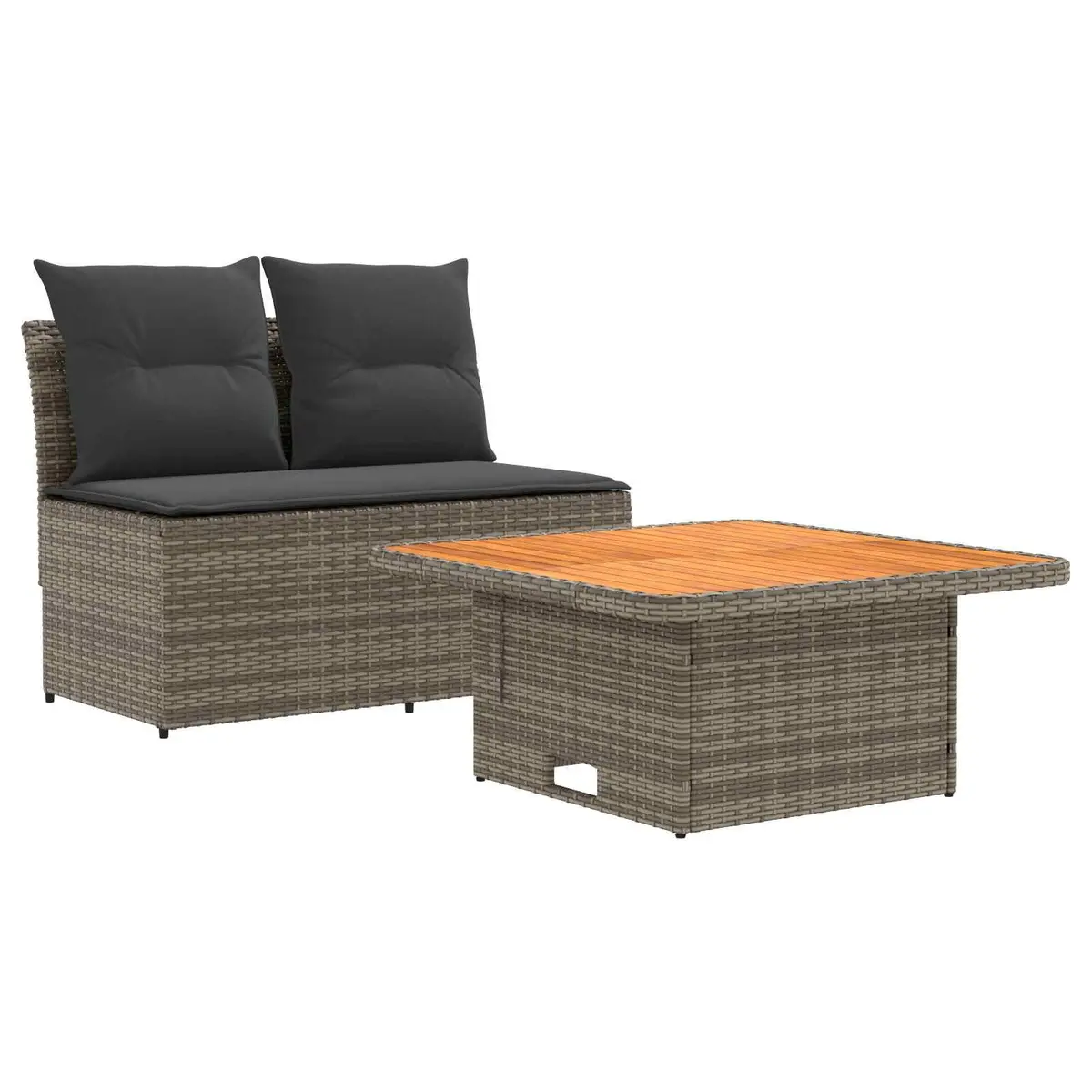 Outdoor Middle Sofa Sectional with Lift-up Table