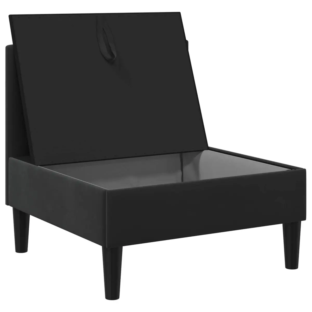 Middle Sofa with Storage Black Velvet Modern Living Room Furniture Couch