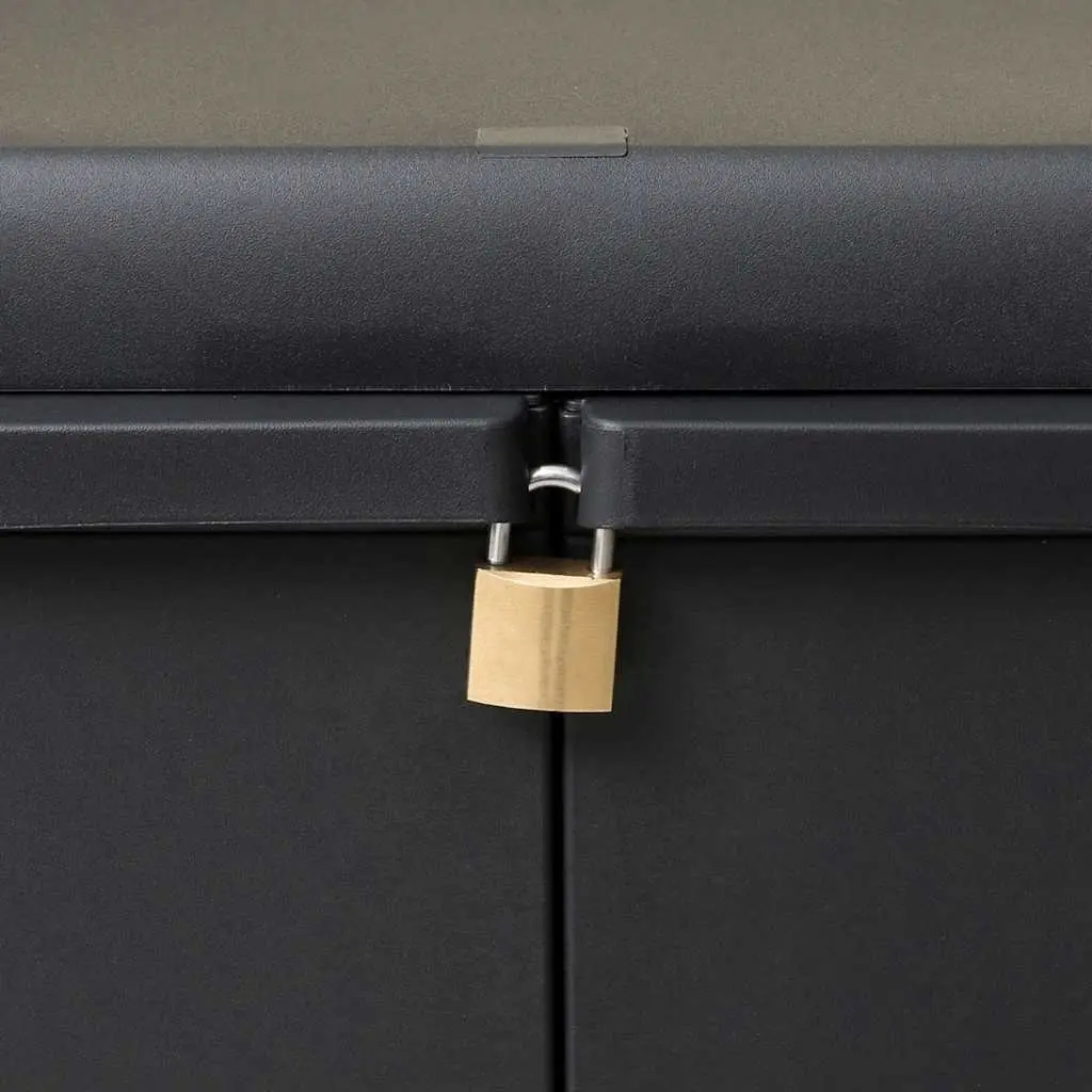 Black Garden Storage Cabinet with Adjustable Shelves