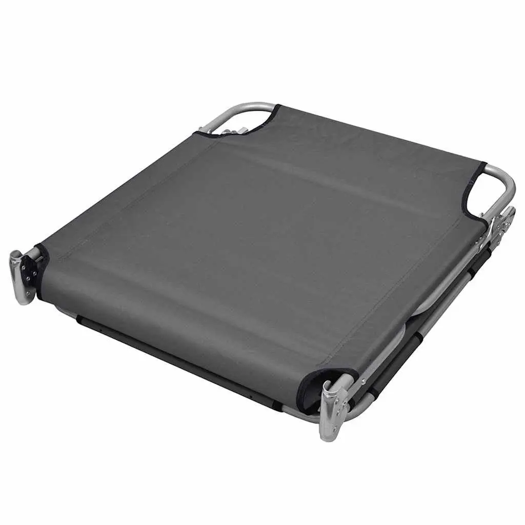 Foldable Sun Lounger with Adjustable Backrest