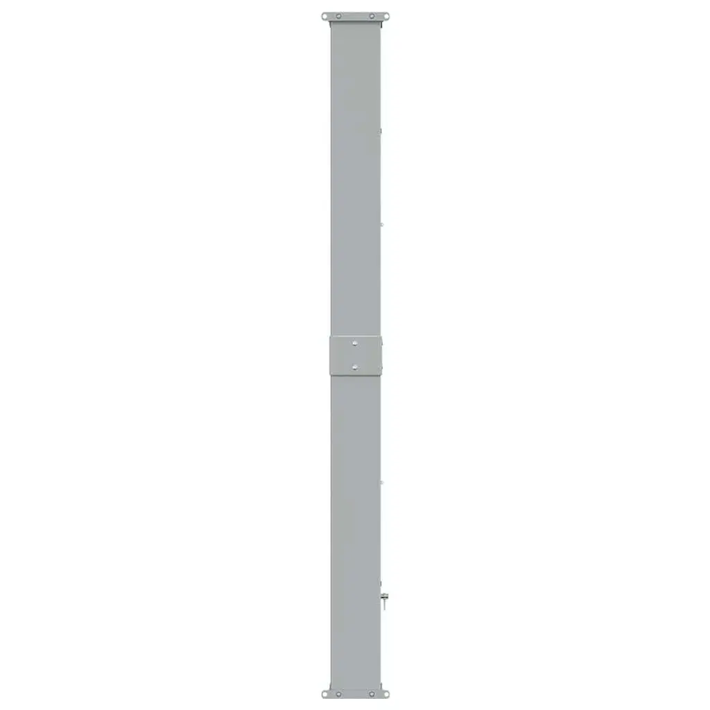 Retractable Side Awning Polyester 160 x 300 cm Black