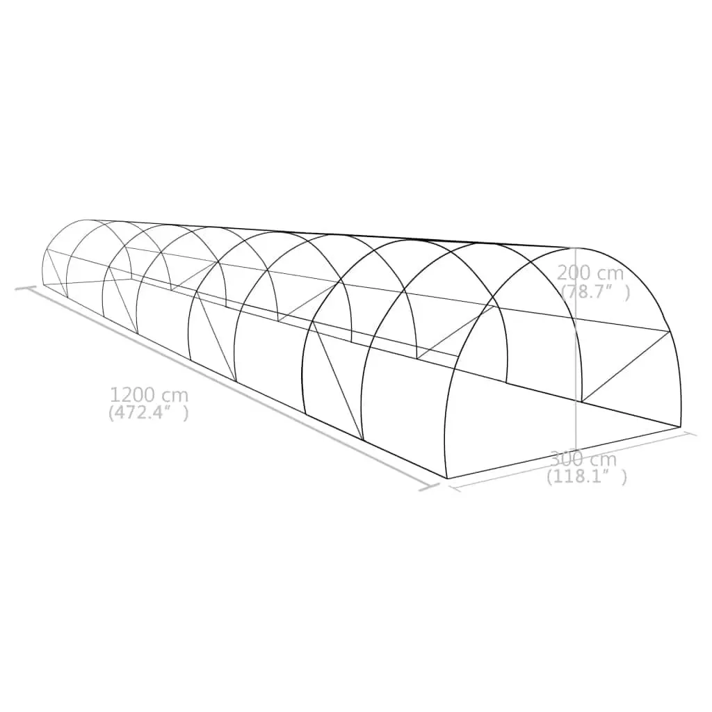 Greenhouse 36 m² with Galvanised Steel Frame