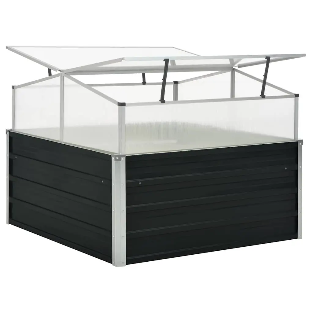 Anthracite Greenhouse for Plants 100x100x77cm