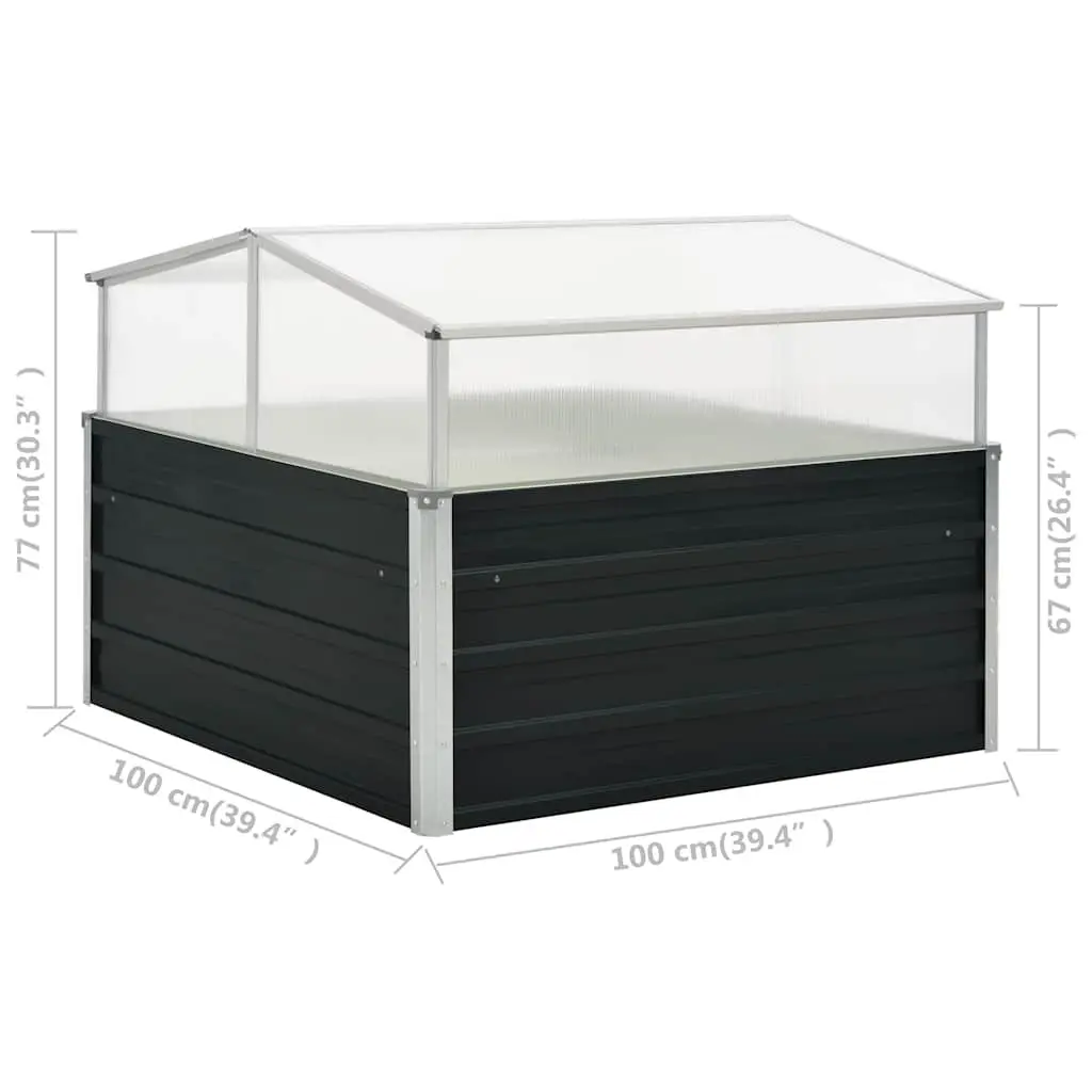 Anthracite Greenhouse for Plants 100x100x77cm