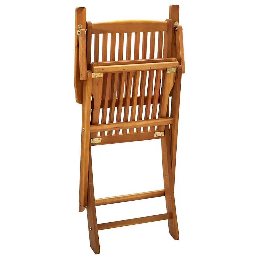 Folding Outdoor Chairs 2 pcs for Garden & Patio