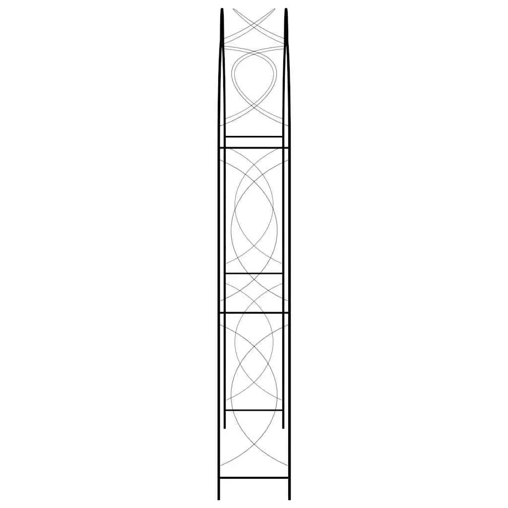 Black Iron Garden Arch for Climbing Plants