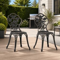 Set of 2 Outdoor Bistro Chairs with Cast Aluminium Frame