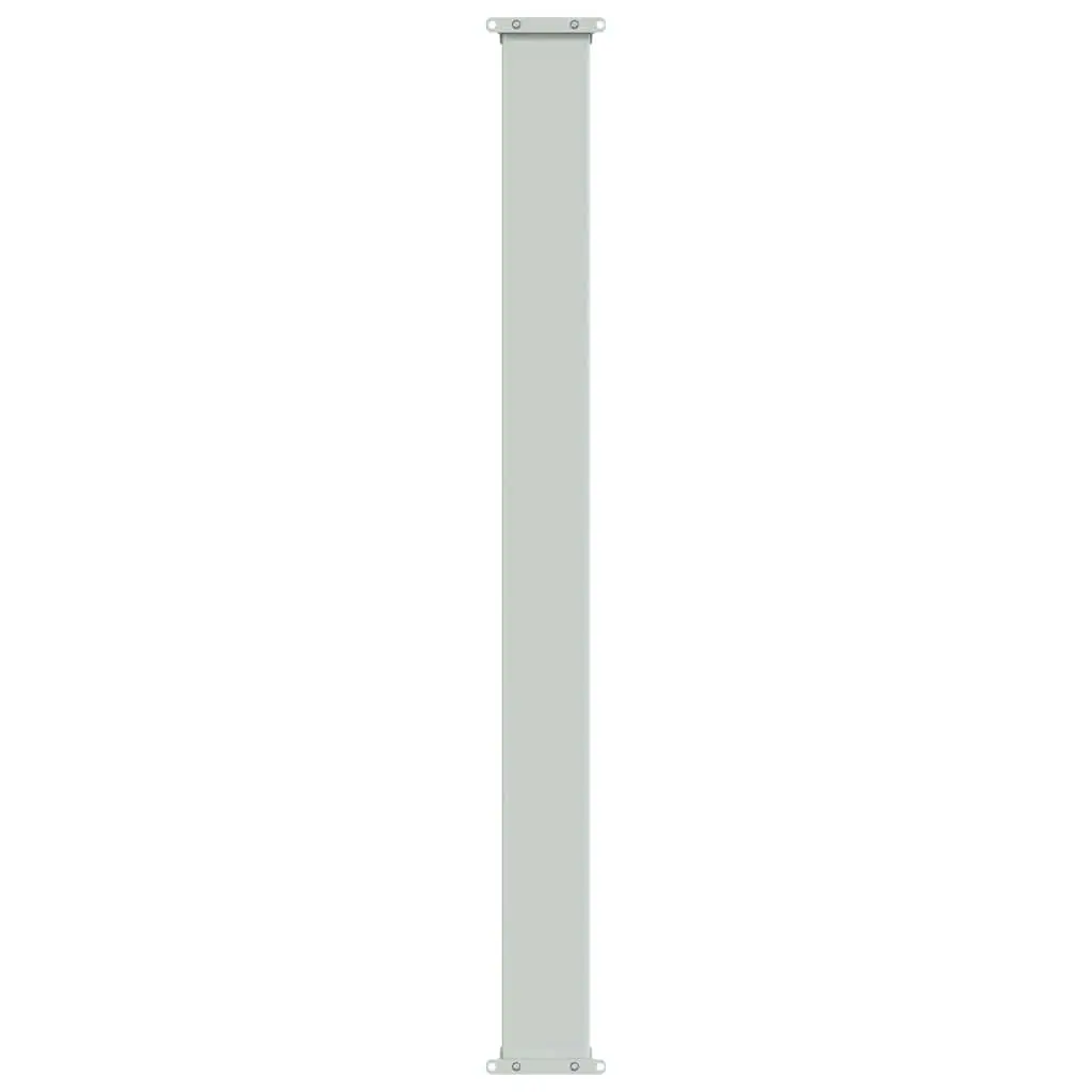Retractable Side Awning 100x300 cm Grey Sunshade