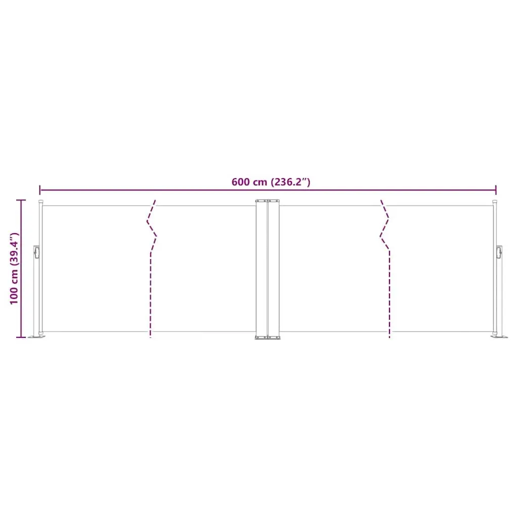 Retractable Side Awning 100x600 cm Anthracite Shade