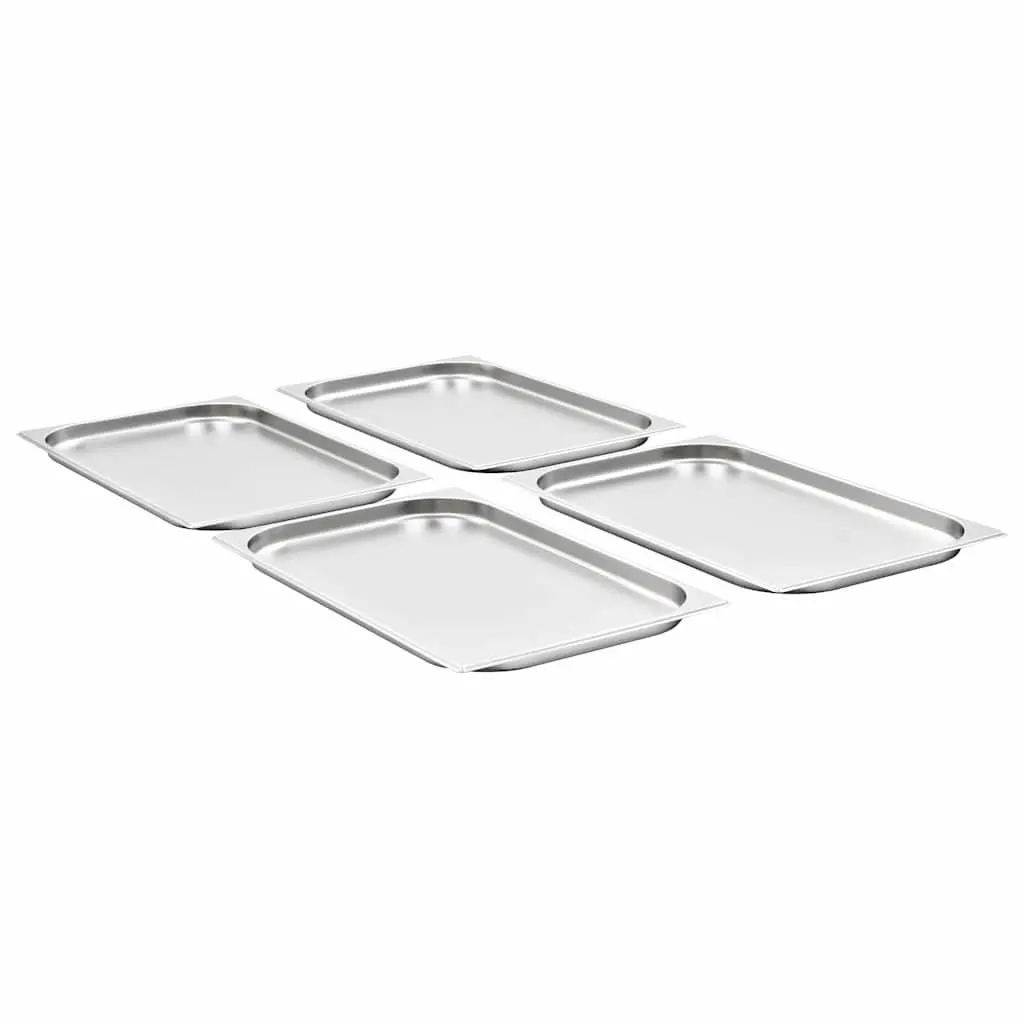 4 pcs GN 1/1 20 mm Gastronorm Containers