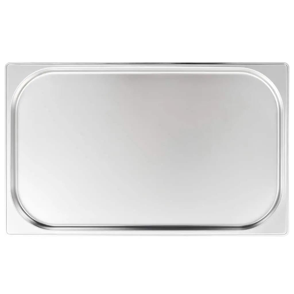 4 pcs GN 1/1 20 mm Gastronorm Containers
