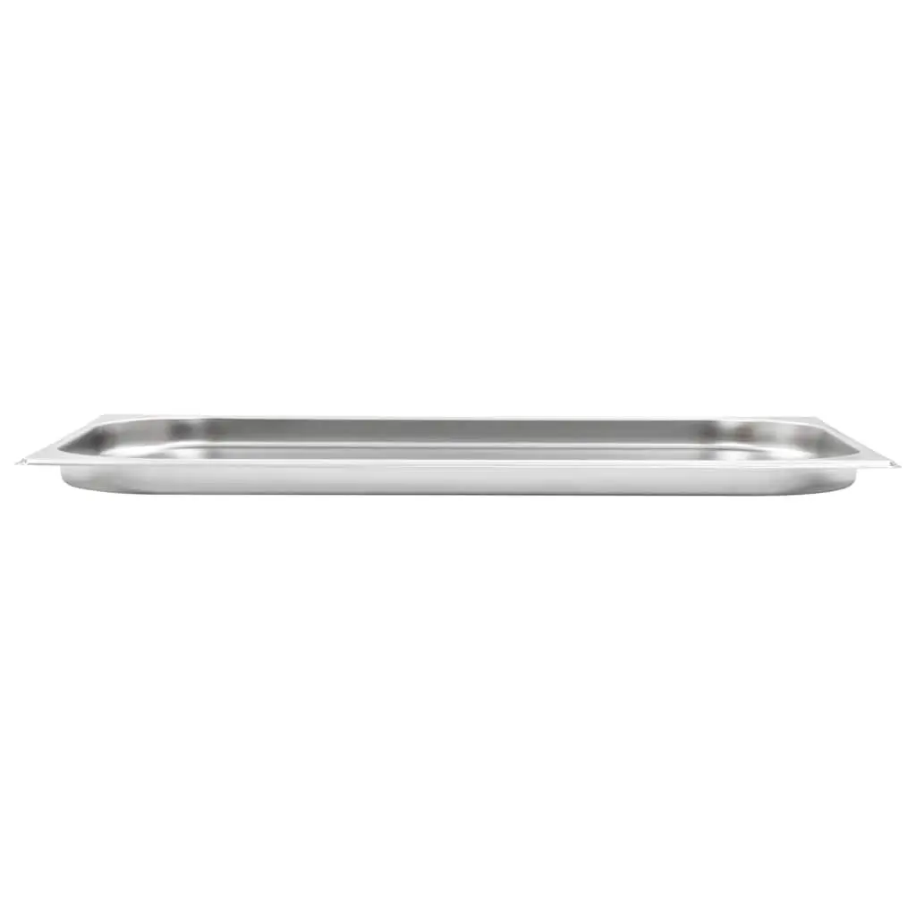 4 pcs GN 1/1 20 mm Gastronorm Containers