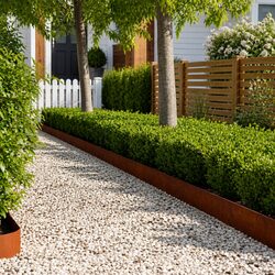 Steel Lawn Edging 20 pcs 100 x 20 cm for Stylish Borders