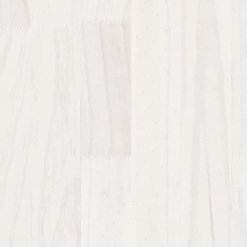 Solid Pine Wood 2-Tier Book Cabinet in White
