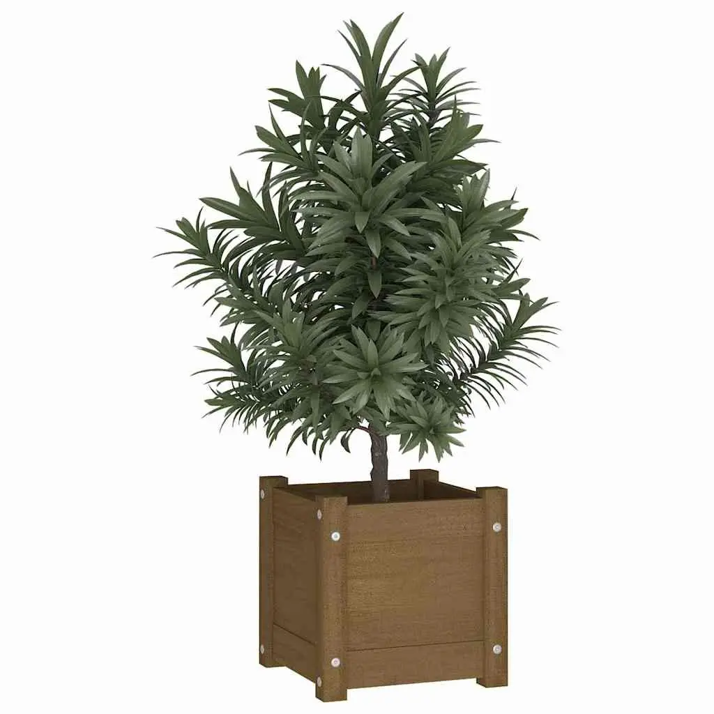 Wooden Planter Box Solid Pinewood 31x31x31cm Brown