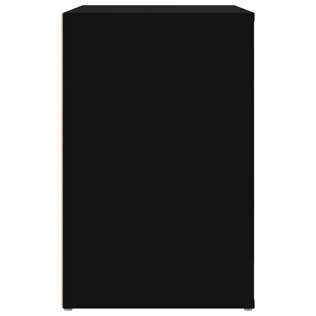 Black Engineered Wood Shoe Cabinet with 2 Compartments