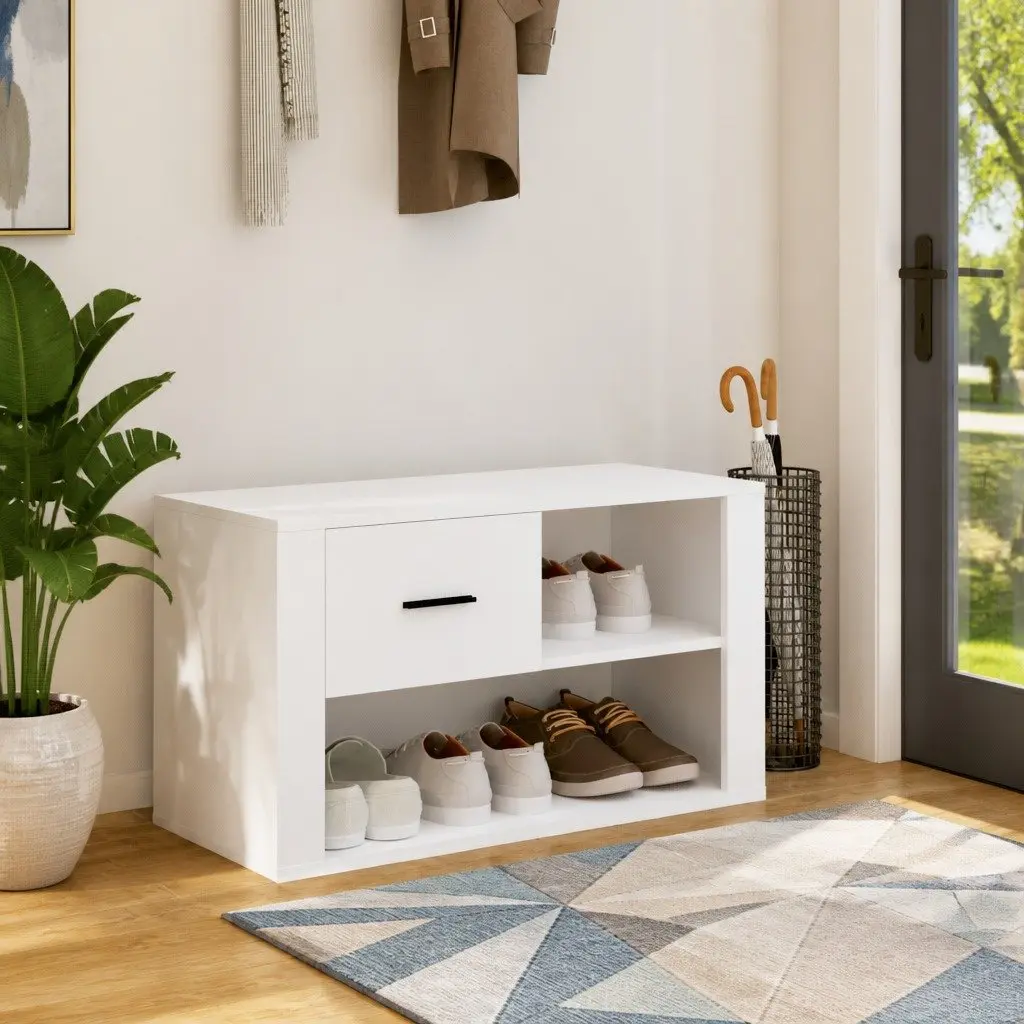 White Engineered Wood Shoe Cabinet with 2 Compartments