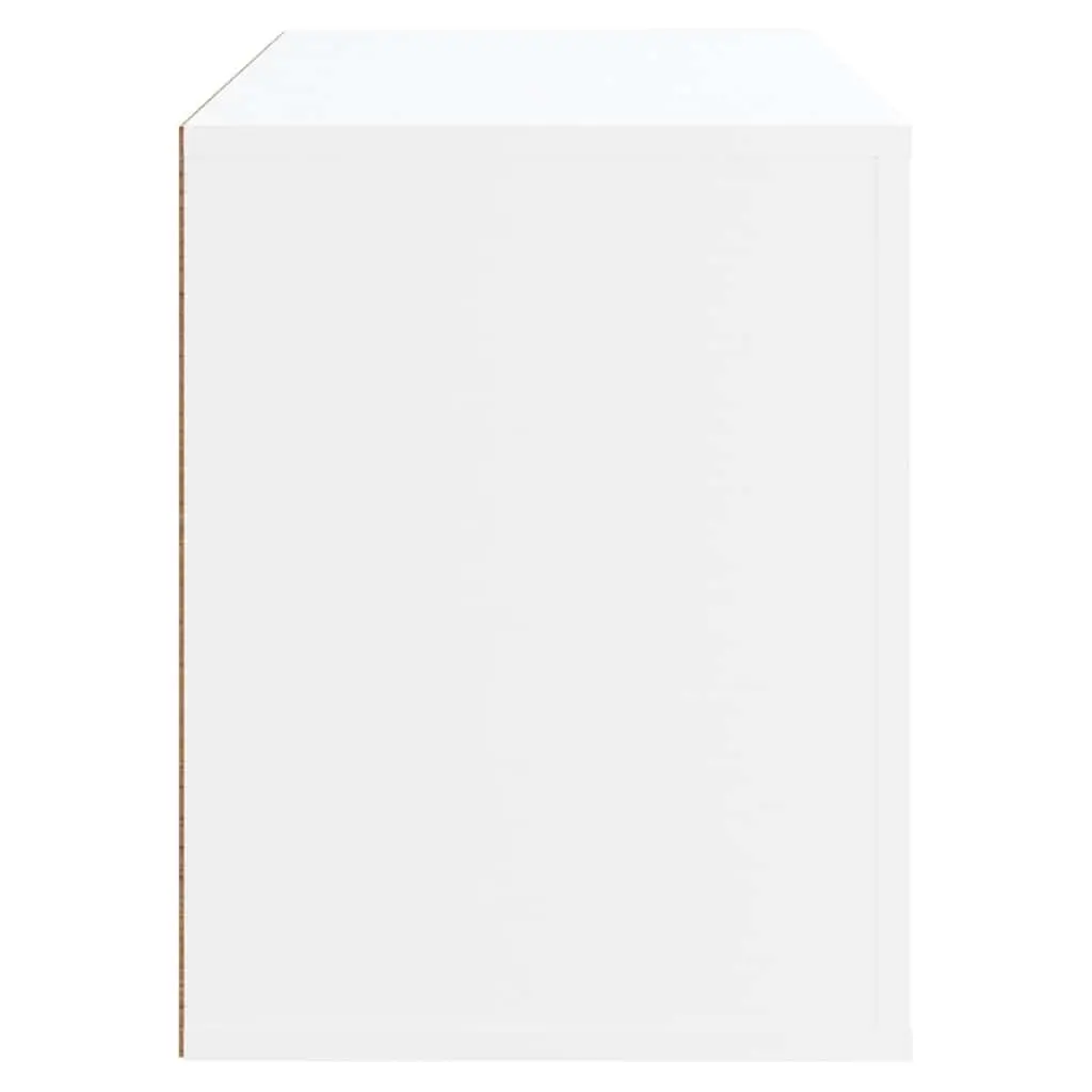 White Engineered Wood Shoe Cabinet with 2 Compartments