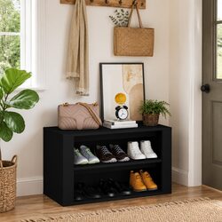 Durable Black Engineered Wood Shoe Rack with 2 Compartments