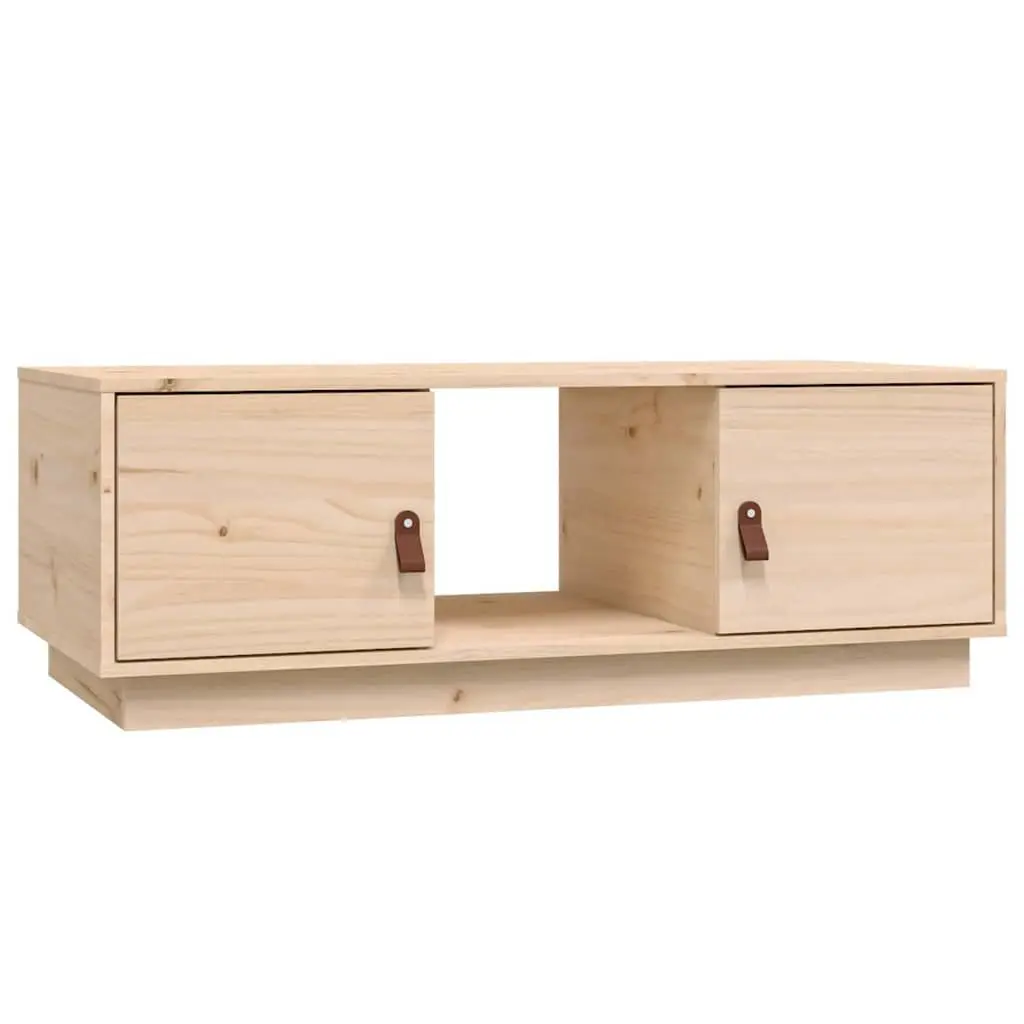 Coffee Table with Storage 100x50x35 cm