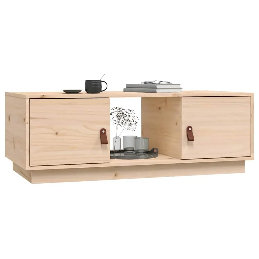 Coffee Table with Storage 100x50x35 cm